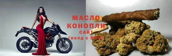 мет Алексин