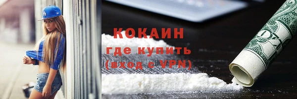 мет Алексин