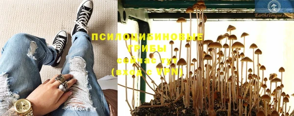 мет Алексин