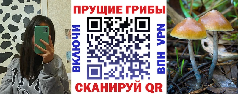 Псилоцибиновые грибы Psilocybine cubensis Усть-Лабинск